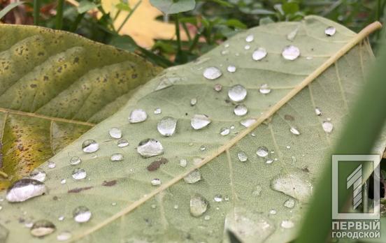 3 октября в Кривом Роге будет дождь с грозой