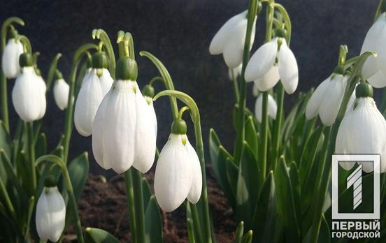 Зима в Днепропетровской области закончилась, – метеорологи