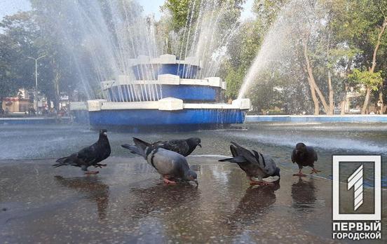 20 июля в Кривой Рог вернётся жара