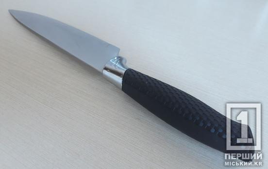 Конфликт завершился поножовщиной: в Кривом Роге задержали агрессорку, напавшую на сожителя