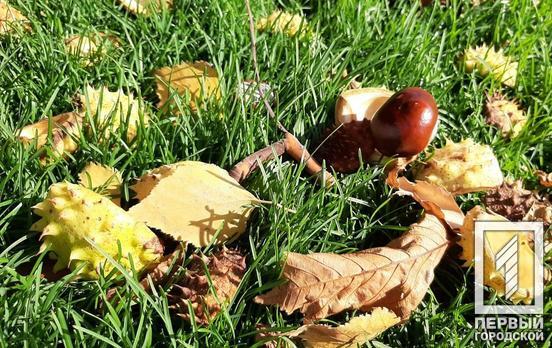 23 ноября в Кривом Роге станет теплее