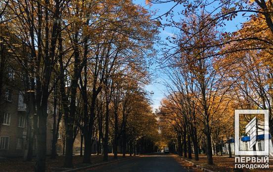 27 ноября в Кривом Роге будет малооблачно