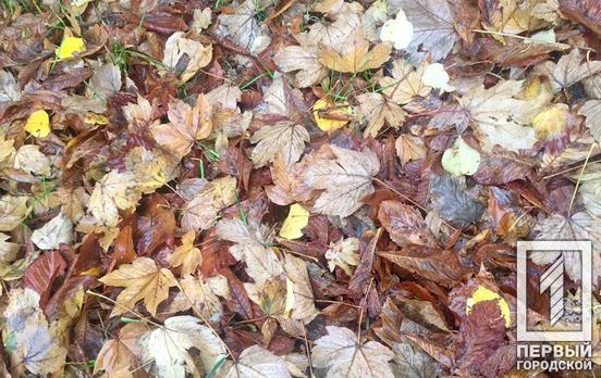 Последний день сентября в Кривом Роге будет дождливым