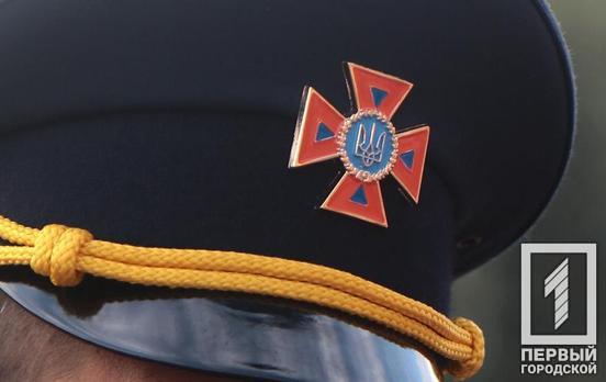 Возле Кривого Рога нашли два боеприпаса