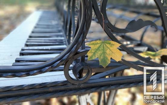 Пианисты из Кривого Рога привезли призовые места с Международного конкурса инструментальной музыки