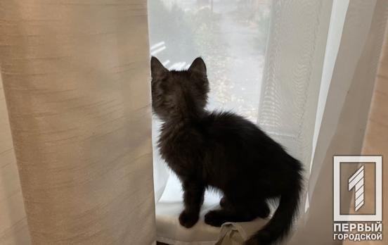 21 декабря в Кривом Роге пойдёт небольшой дождь