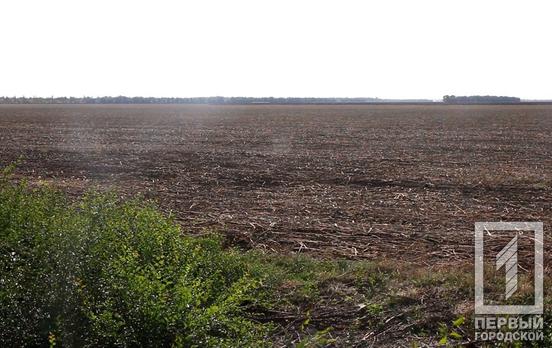 Вночі у Дніпропетровській області ворог двічі атакував Криворізький район