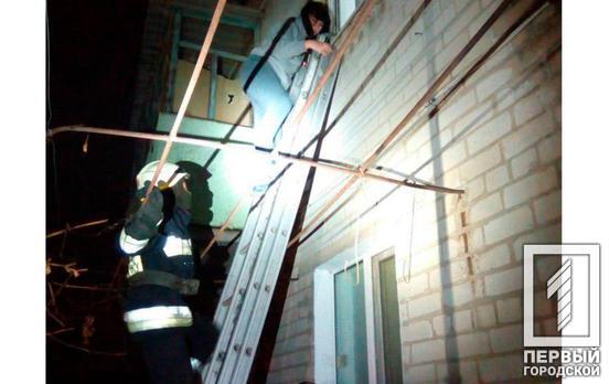 Осторожно, злая собака: в Днепре агрессивный пёс не давал выйти хозяевам из комнаты