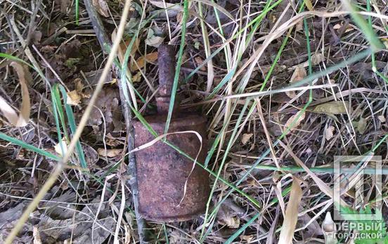 Под Кривым Рогом мужчина искал металлолом, а нашёл гранату РГ-42