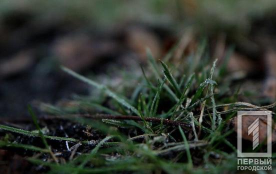 12 февраля в Кривом Роге будет дождливый день