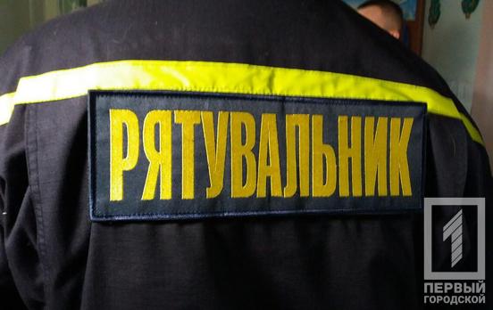 Жители Кривого Рога вызвали спасателей, чтобы достать застрявшую в заборе собаку