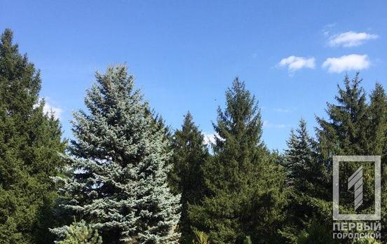 16 февраля в Кривом Роге будет тепло и солнечно