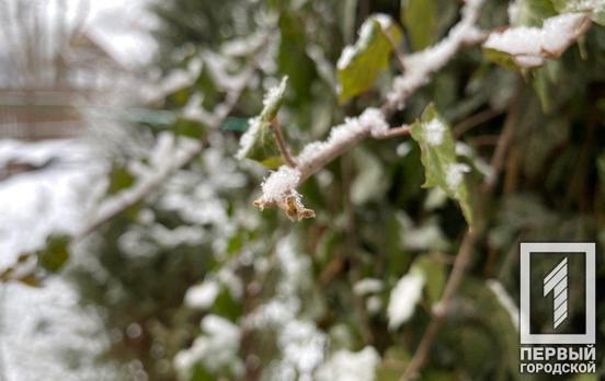 23 января в Кривом Роге возможен снег