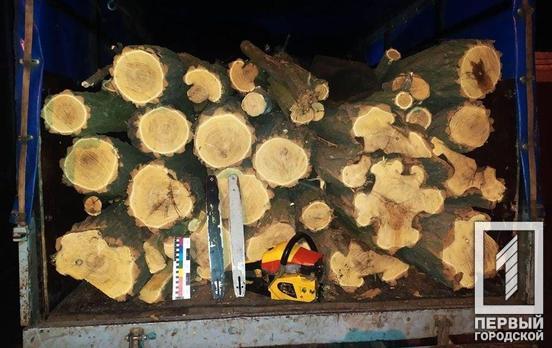 Полицейские Кривого Рога задержали двух «чёрных» лесорубов