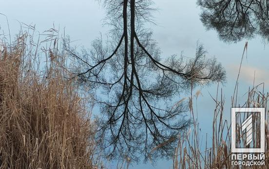 27 декабря в Кривом Роге будет солнечно и морозно