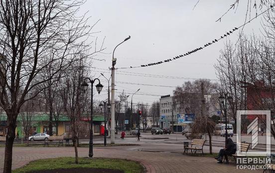 1 февраля в Кривом Роге будет дождь