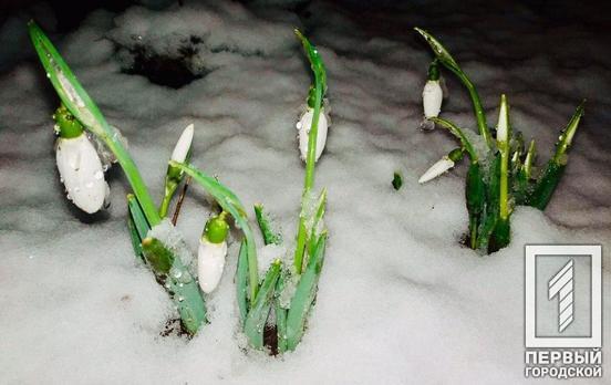 Большинство телезрителей «Первого Городского» устраивает аномально тёплая зима, – опрос