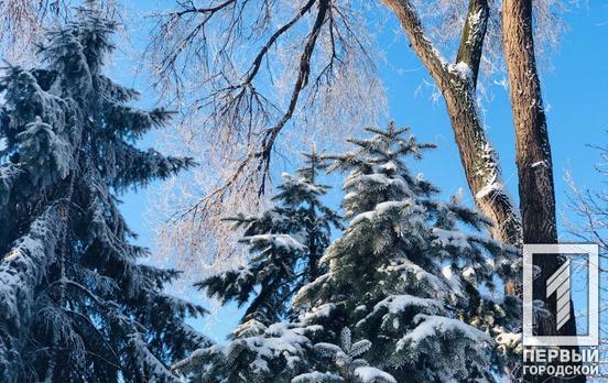 9 февраля в Кривом Роге будет морозный и солнечный день
