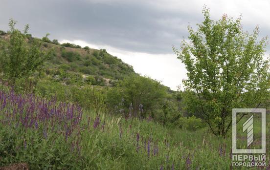 Несколько промышленных предприятий Кривого Рога собираются восстанавливать земли, нарушенные выработкой, с помощью технического компоста