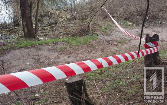 Под Кривым Рогом нашли устаревший артиллерийский снаряд