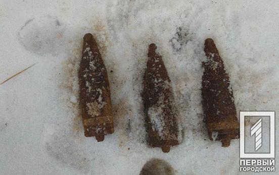 Под Кривым Рогом искатель металлолома наткнулся на три артиллерийских снаряда