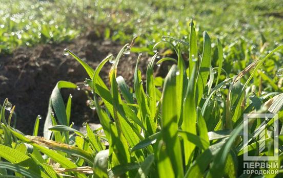 12 марта в Кривом Роге будет солнечный день