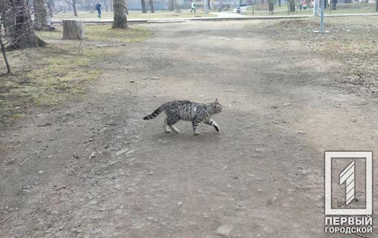 4 марта в Кривом Роге будет ясная погода
