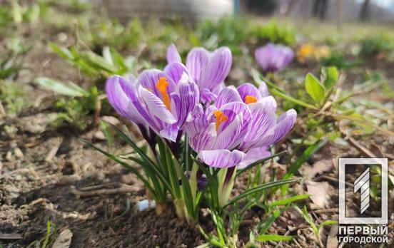 9 марта в Кривом Роге будет переменная облачность