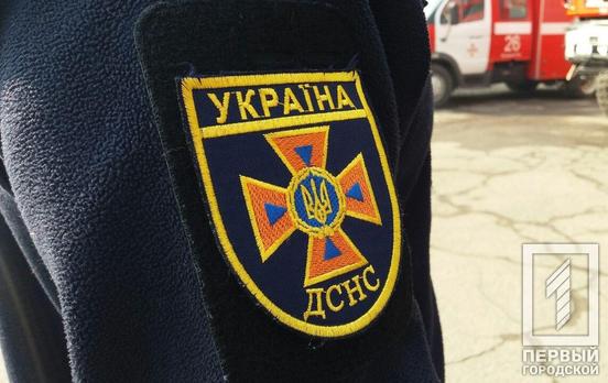 Поисковики под Кривым Рогом обнаружили старый артснаряд