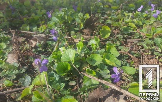 18 марта в Кривом Роге будет переменная облачность