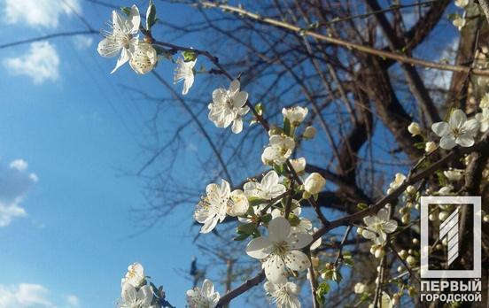 16 марта в Кривом Роге будет солнечный день