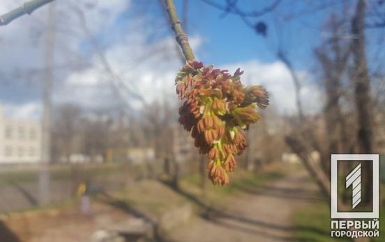 17 марта в Кривом Роге будет облачная погода