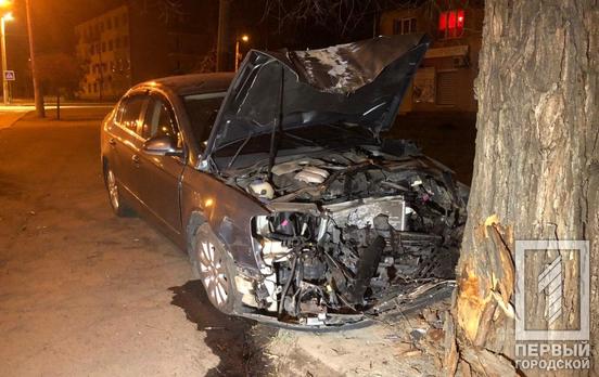 Уснул за рулём: в Кривом Роге мужчина на легковушке врезался в дерево