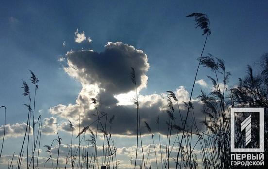 15 апреля в Кривом Роге будет ветрено и прохладно