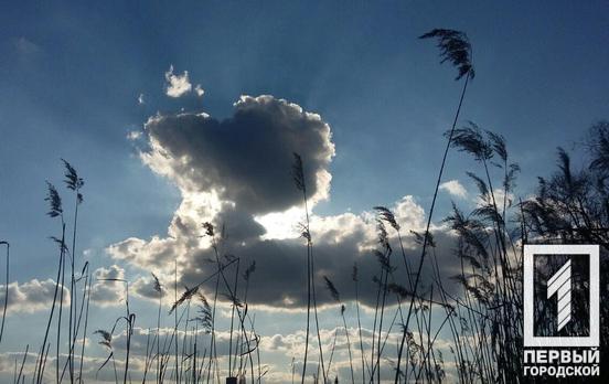 24 марта в Кривом Роге поднимется сильный ветер