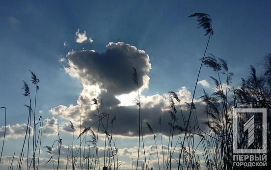 3 апреля жителей Кривого Рога ждёт солнечная пятница