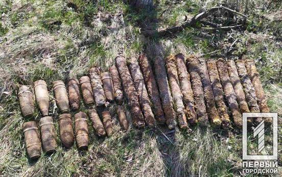Недалеко от Кривого Рога женщина в поле нашла снаряды
