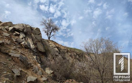 30 марта в Кривом Роге ожидается переменная облачность