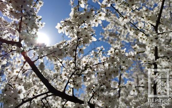 13 апреля в Кривом Роге будет тёплый и безоблачный день