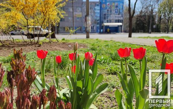 8 апреля в Кривом Роге синоптики прогнозируют солнечную погоду