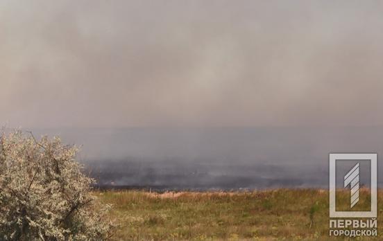 Ввечері минулої доби ворог обстріляв прикордонний населений пункт Криворізького району