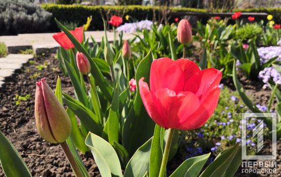 19 апреля в Кривом Роге будет солнечная погода