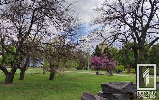 1 июля в Кривом Роге пойдёт небольшой дождь