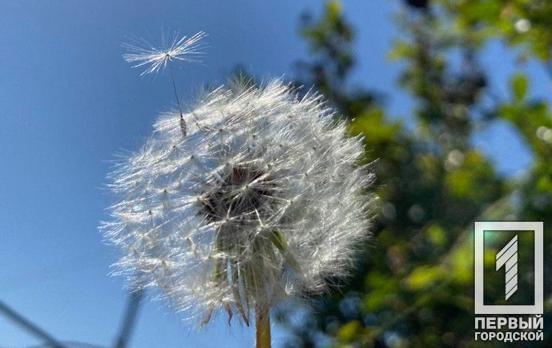 25 апреля в Кривом Роге будет тёплый и солнечный день