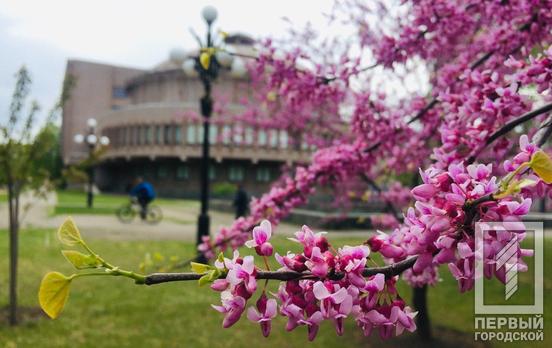 1 мая в Кривом Роге осадки не предвидятся