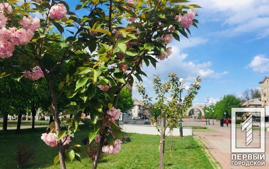 29 апреля в Кривом Роге будет тепло и солнечно