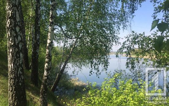 10 июня в Кривом Роге будет солнечный день