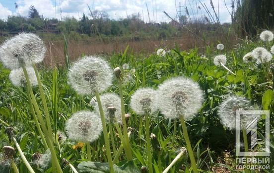 18 мая в Кривом Роге будет переменная облачность