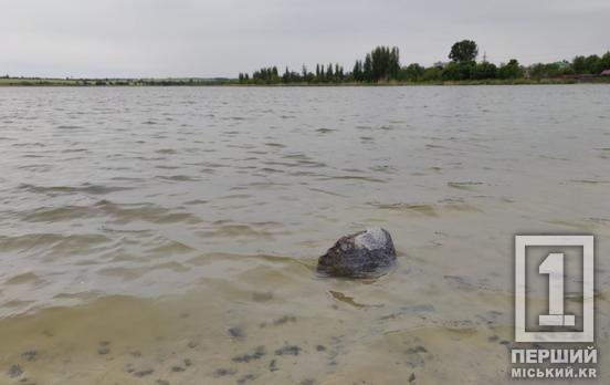 Літній відпочинок завершився трагедією: на Криворіжжі втонув 13-річний хлопчик
