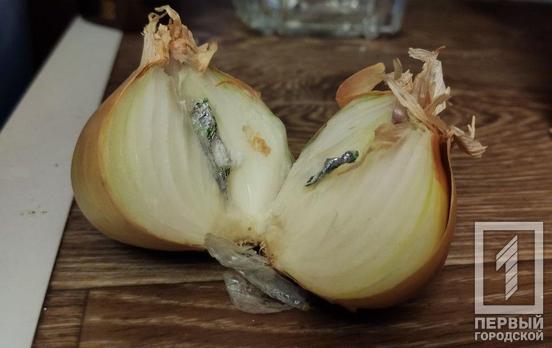 Метадон с луком и каннабис в масле: в Кривом Роге пресекли попытку передать наркотики заключённым колонии